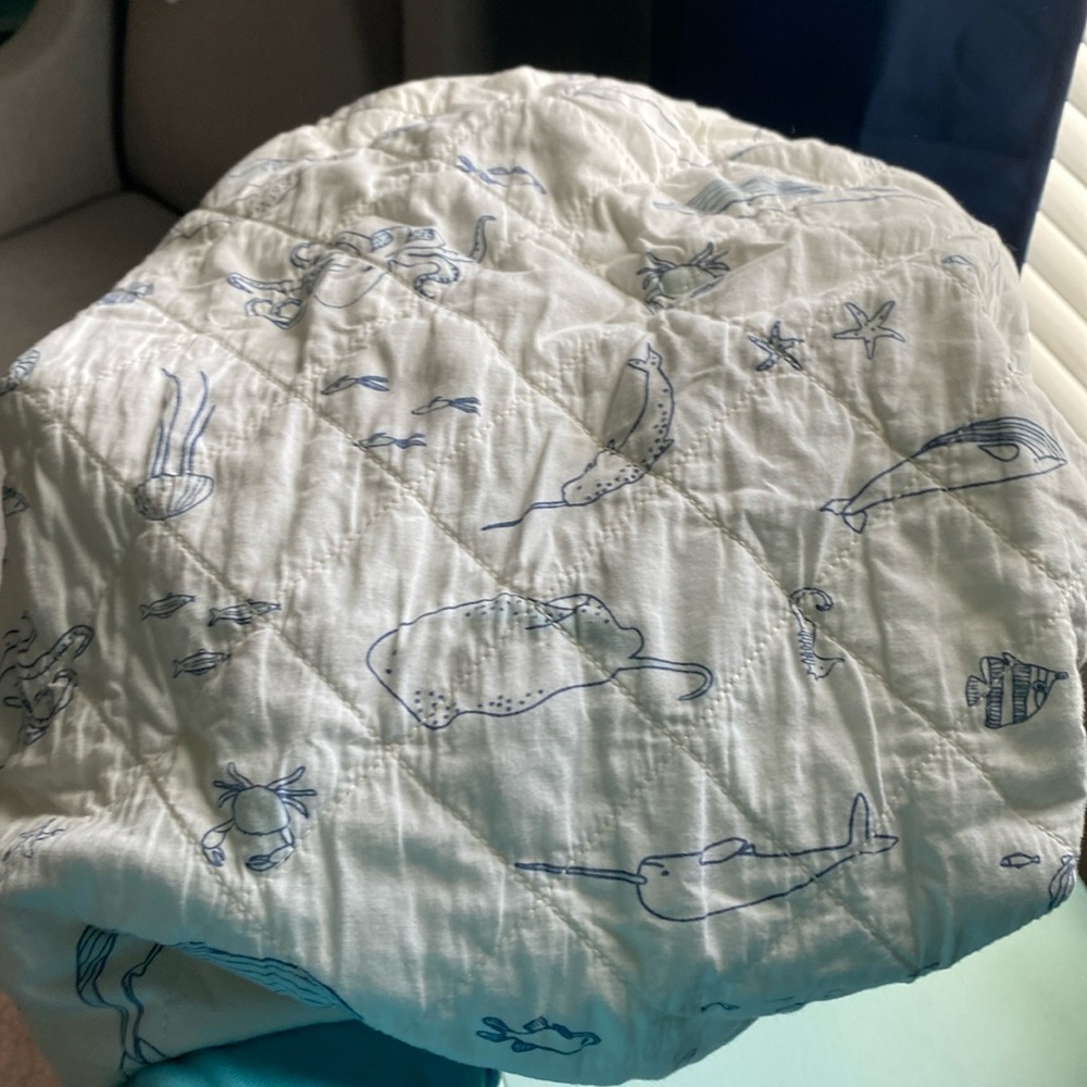 Pehr aquatic changing pad cover